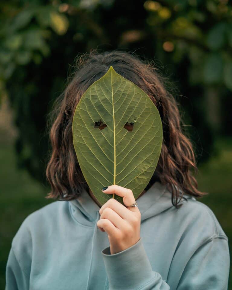 référencement naturel