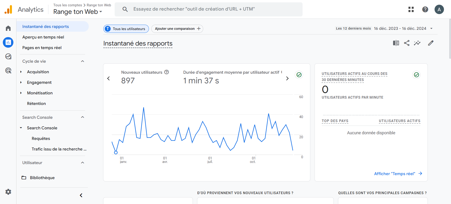 Interface de Google Analytics